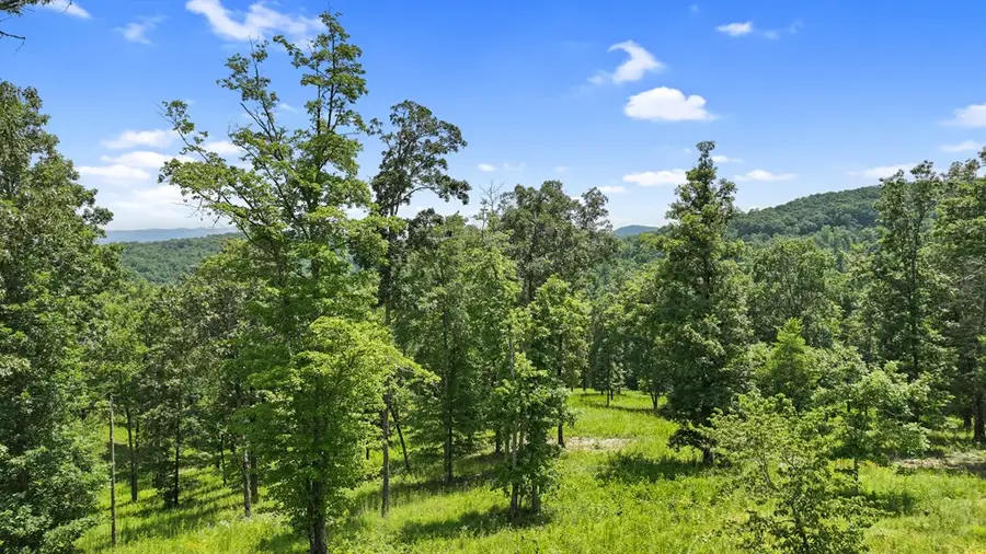 Lot 11 Haven Way, Blue Ridge, GA 30513 - #3