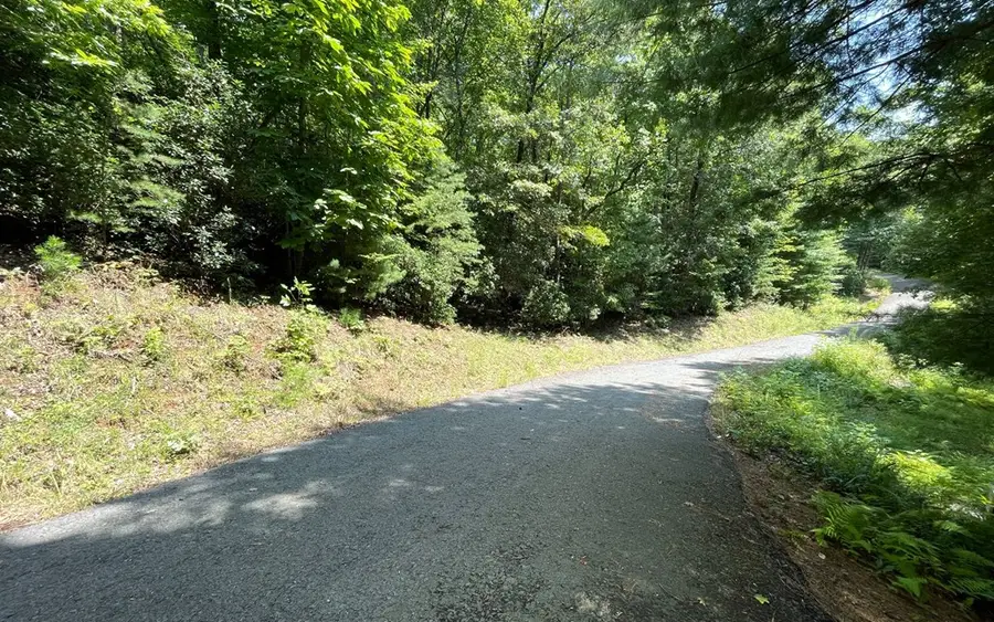 LOT 28 Shelton Springs Drive, Hayesville, NC 28904 - Image #3