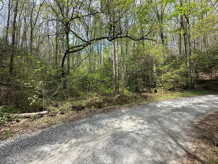 Lot 20 Big Ben Road, Ellijay, GA 30540 - Image #2