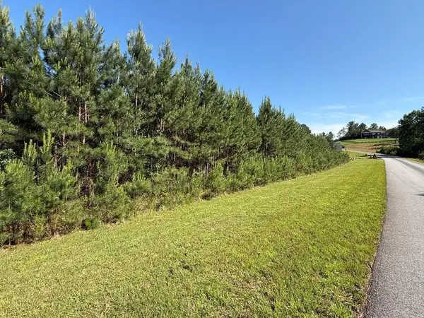 Lot 228 The Cove @ 1300, Blairsville, GA 30512