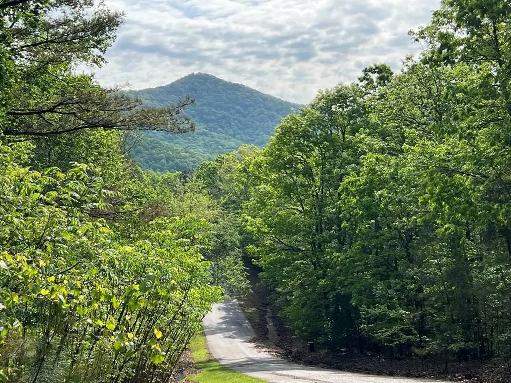 Lot 25 Loftis Mountain, Blairsville, GA 30512 - #1