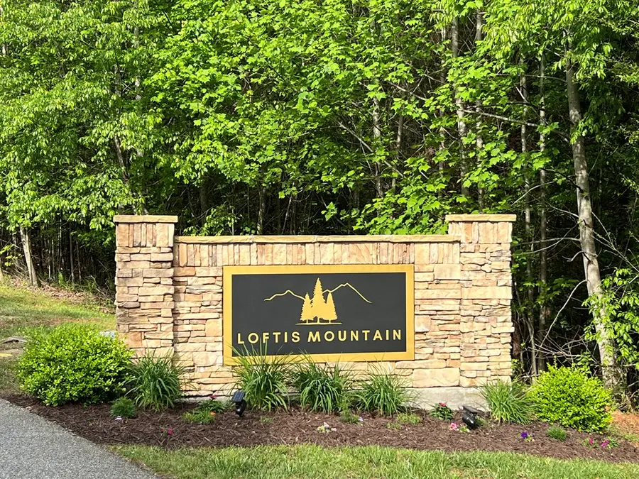 Lot 25 Loftis Mountain, Blairsville, GA 30512 - #3