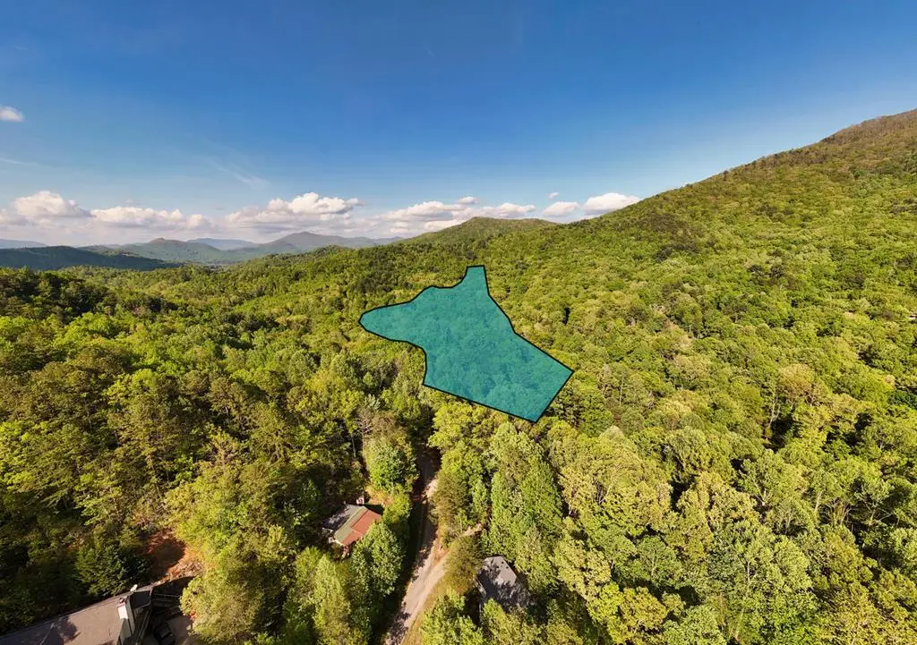 Tract 16 Quinn Cove Road, Hiawassee, GA 30546 - #1