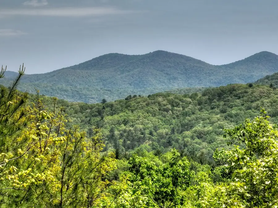 46 Cochise Road, Blue Ridge, GA 30513 - #2