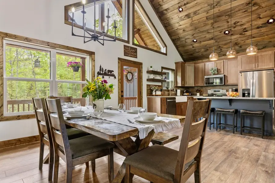 595 Arp Road, Mineral Bluff, GA 30559 - Image #3