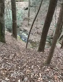 #2