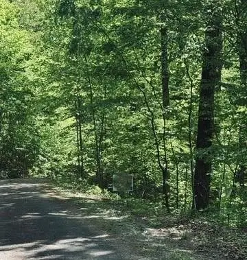 409&411 Barefoot Rise, Hiawassee, GA 30546 - #1