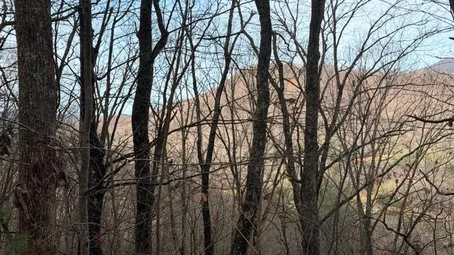 409&411 Barefoot Rise, Hiawassee, GA 30546 - #3