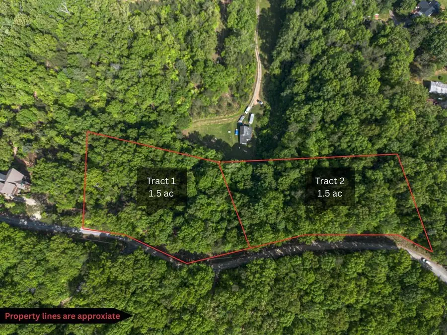 Tract 1 Century Lane, Blue Ridge, GA 30513 - Image #2