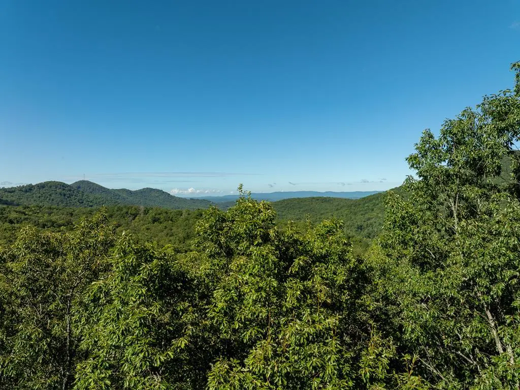 Lot 4 Wilderness Way, Ellijay, GA 30536 - #1