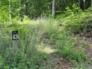 #3