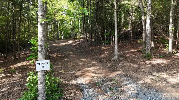 TR B E New Hope Road E, Ellijay, GA 30536