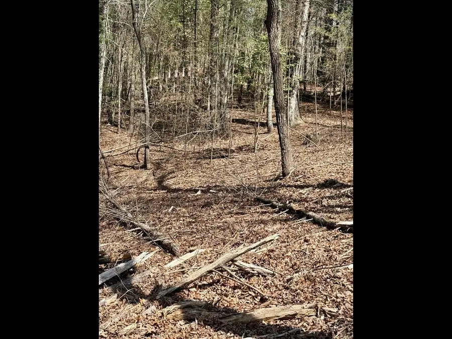 TR 2 E New Hope Road E, Ellijay, GA 30536 - #3