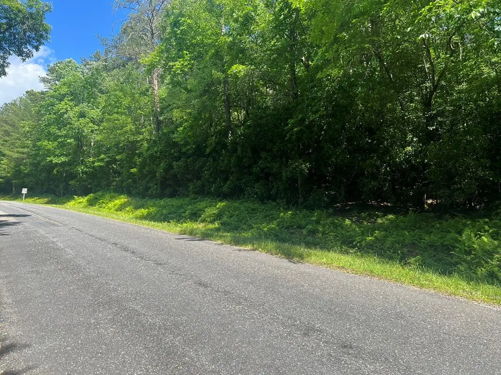 000 Tobe Stalcup Road, Murphy, NC 28906 - #1