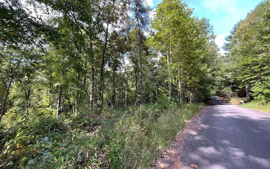 Lot E Timber Ridge, Hayesville, NC 28904 - #2