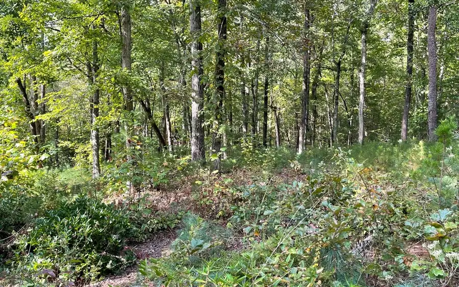 Lot E Timber Ridge, Hayesville, NC 28904 - #3