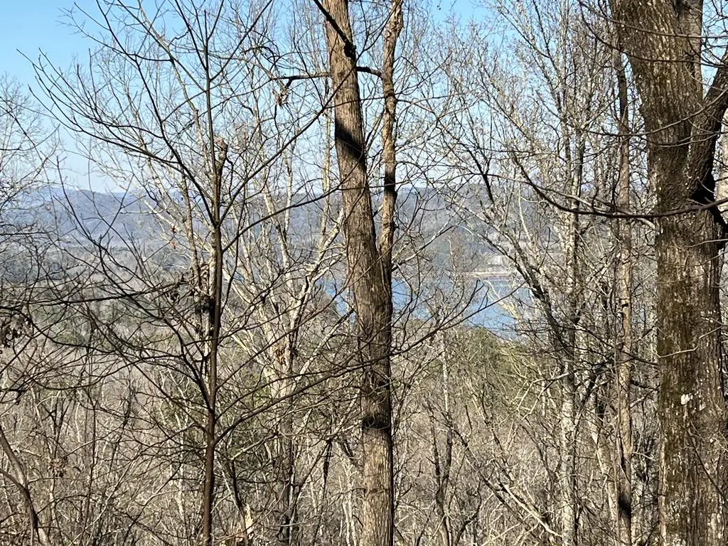 Lot 326 Adair Drive, Ranger, GA 30734 - #1