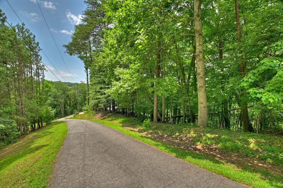 Lot 4 Mountain Trace, Ellijay, GA 30540 - Image #3