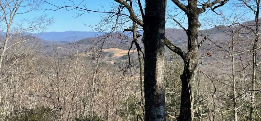 Lot 6 Wild Turkey, Young Harris, GA 30582 - #1