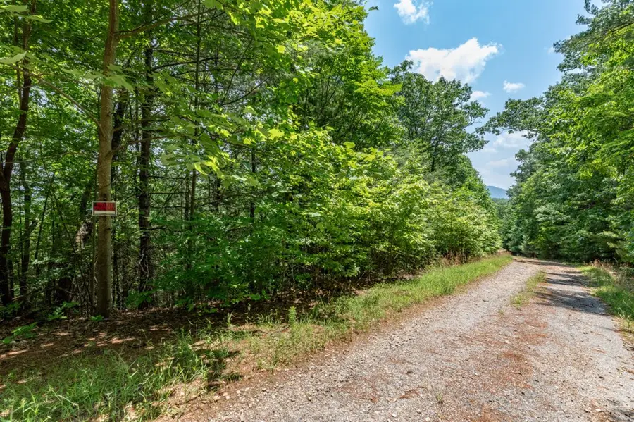 Lot 6 Wild Turkey, Young Harris, GA 30582 - #3