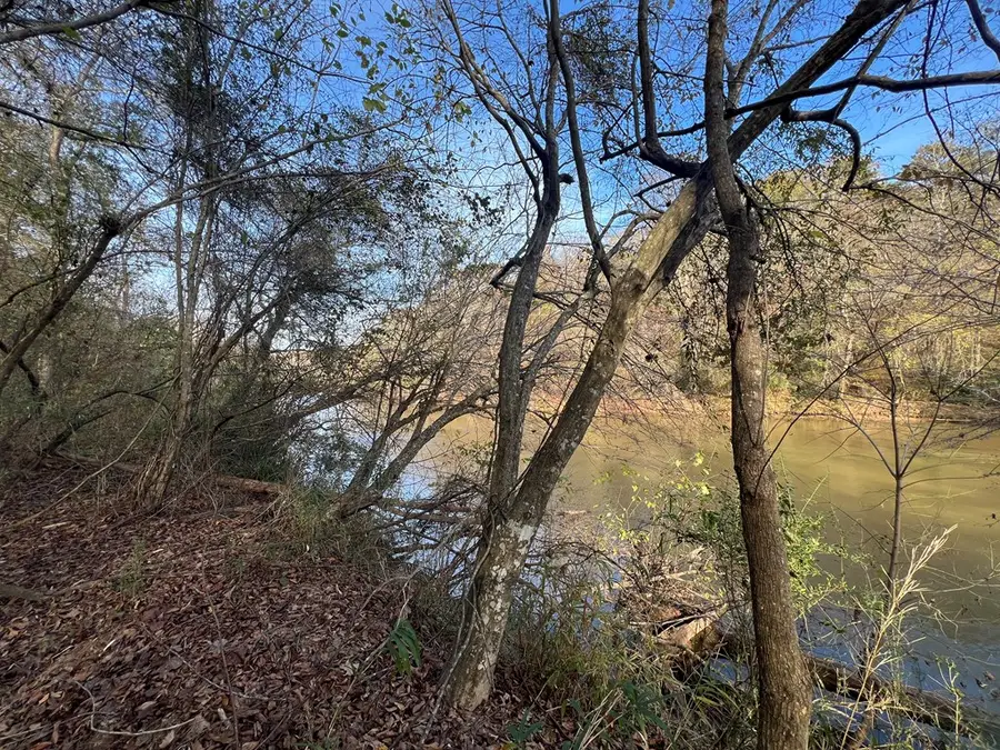 0 Dickson Drive, Danielsville, GA 30633 - Image #3