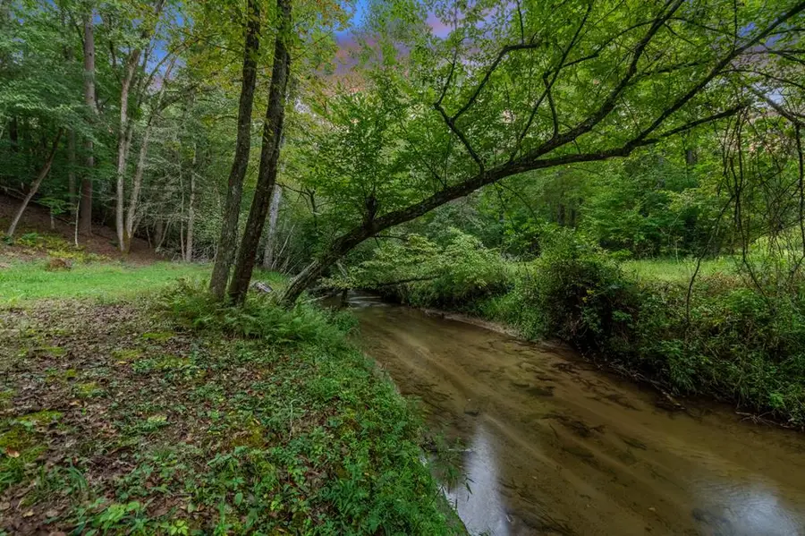 215 Twin Creeks, Blue Ridge, GA 30513 - #3