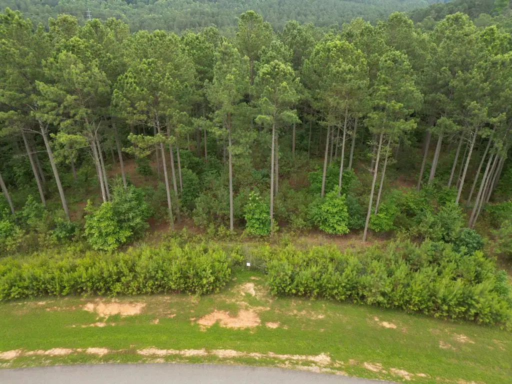 Lot 148 Stables Loop, Blairsville, GA 30512 - #1
