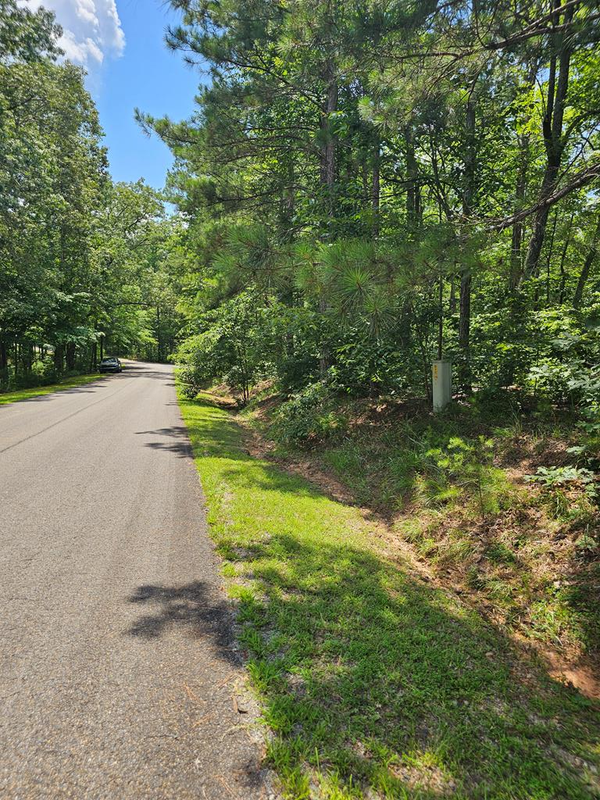 0 Harris Ridge Drive, Ellijay, GA 30540