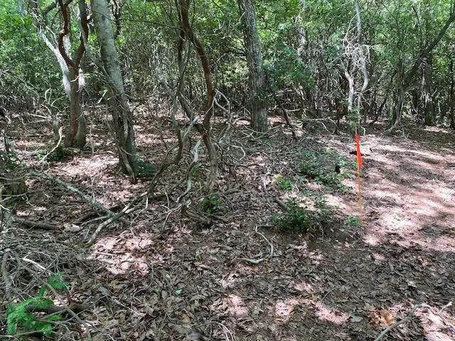 5.922 Ac Fisher Field Road, Blairsville, GA 30512 - Image #2