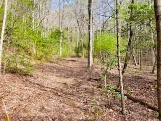 6.88 ac Fisher Field Road, Blairsville, GA 30512 - Image #2