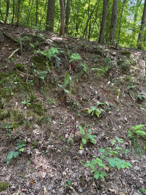 0 Mountain View Court, Ellijay, GA 30536