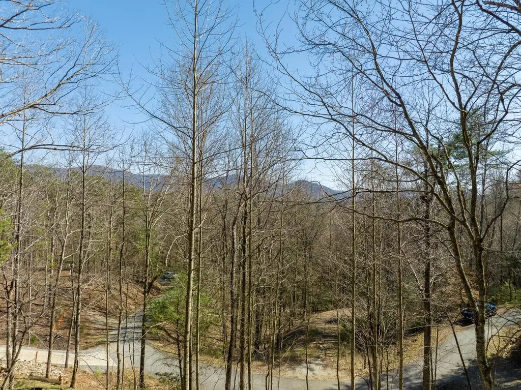 LOT 508 Chicasaw Drive, Ellijay, GA 30540 - Image #1