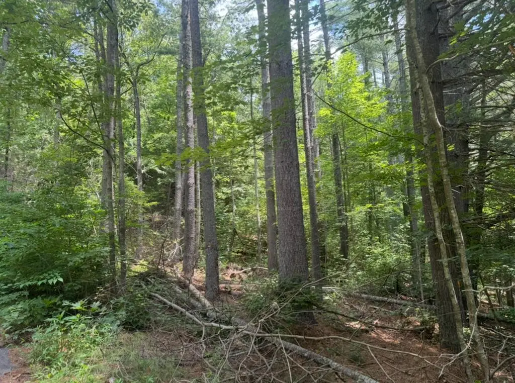 Lot 6 Baker Lane, Hiawassee, GA 30546 - #1