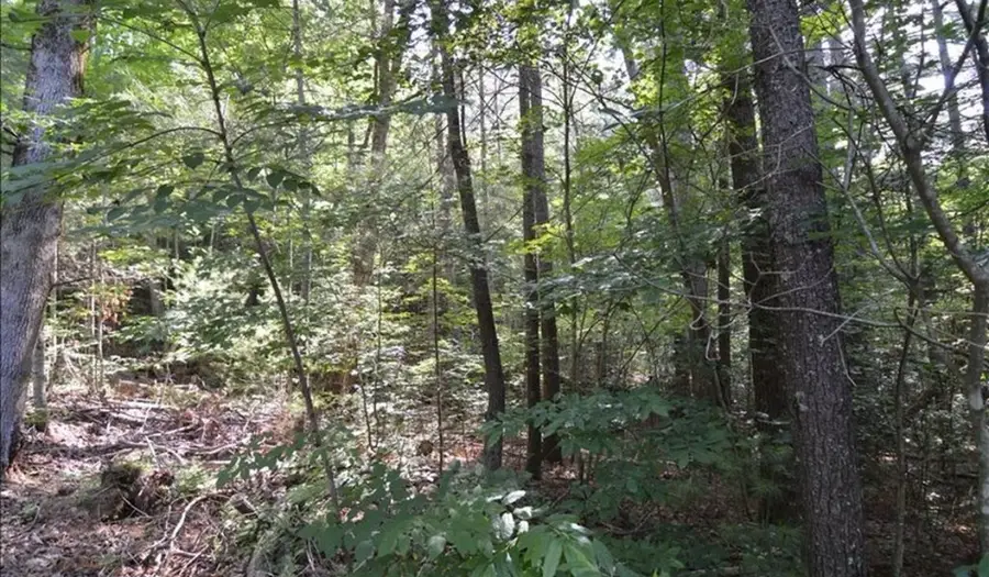 Lot 6 Baker Lane, Hiawassee, GA 30546 - #2