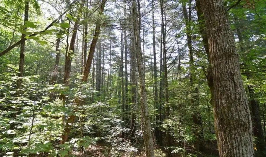 Lot 6 Baker Lane, Hiawassee, GA 30546 - #3