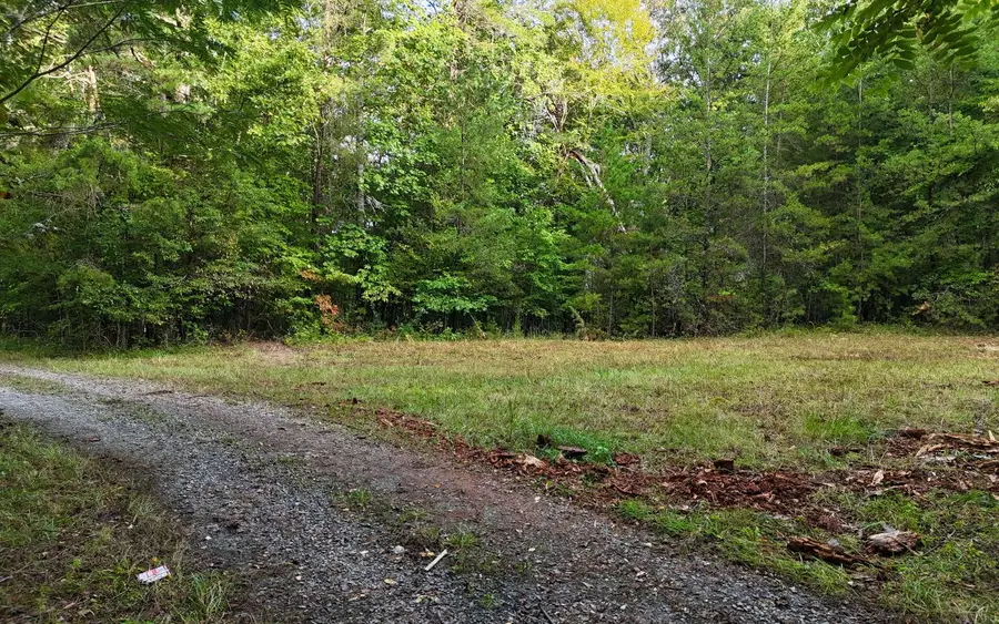 LOT 8 Murphy Lane, Mineral Bluff, GA 30559 - Image #3