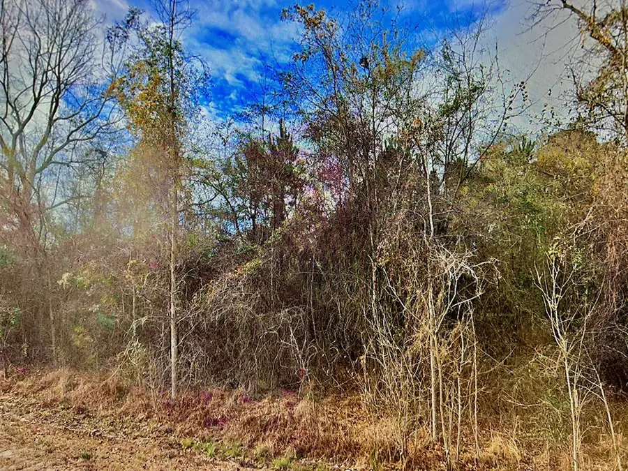 000 Hwy 129, Claxton, GA 30147 - Image #3