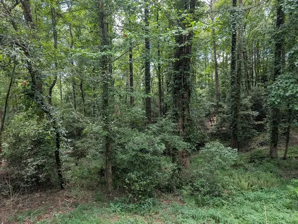 Lot 194 Shenendoa Drive, Ellijay, GA 30540