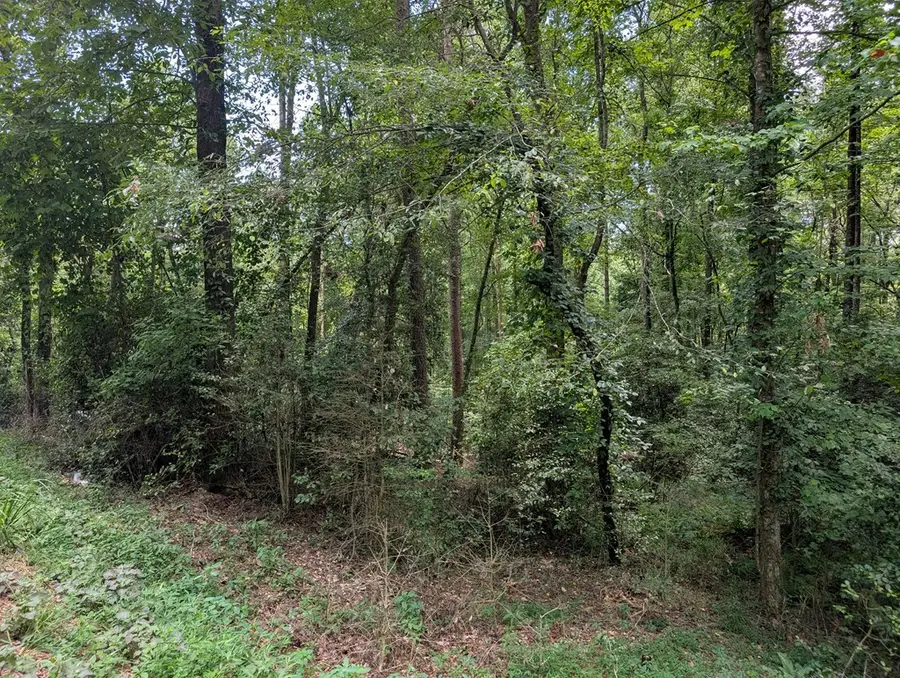 Lot 194 Shenendoa Drive, Ellijay, GA 30540 - Image #2
