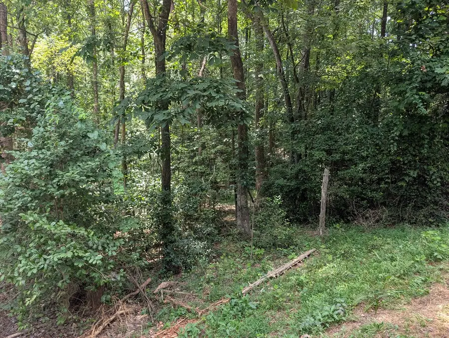 Lot 194 Shenendoa Drive, Ellijay, GA 30540 - Image #3
