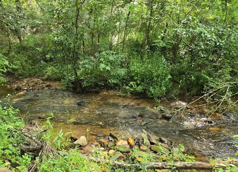 14,15,16 Ashley Drive, Young Harris, GA 30582 - #3