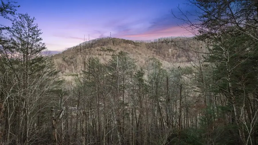 128 Ridgeveiw Estates Road, Blue Ridge, GA 30513 - Image #3