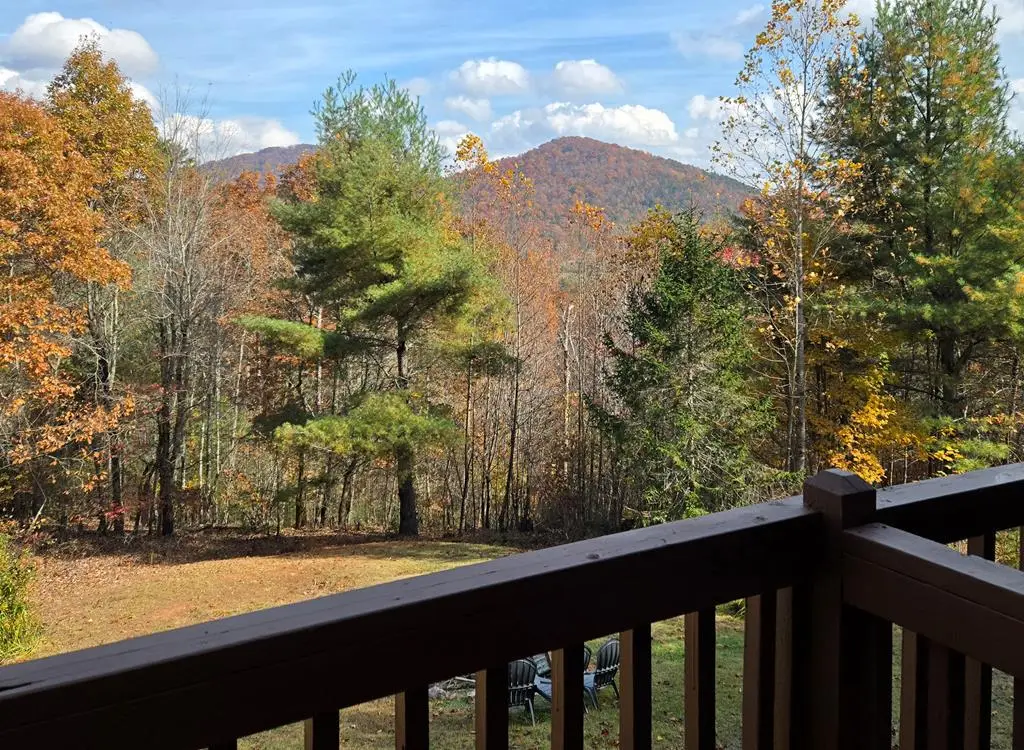 705 Hickory Drive, Mineral Bluff, GA 30559 - Image #1