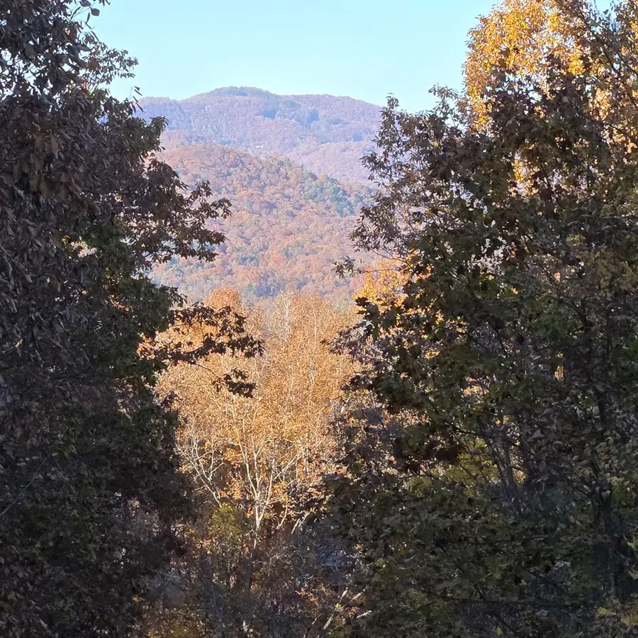 705 Hickory Drive, Mineral Bluff, GA 30559 - Image #2