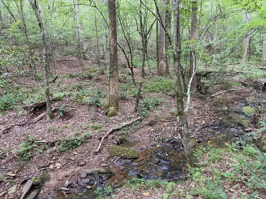 Lot 36 Hampton Farms Trail, Jasper, GA 30143 - Image #2