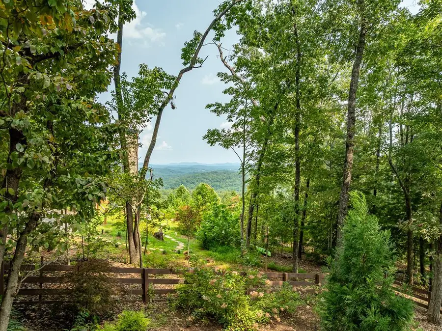 2191 Old Hwy 5, Blue Ridge, GA 30513 - #3