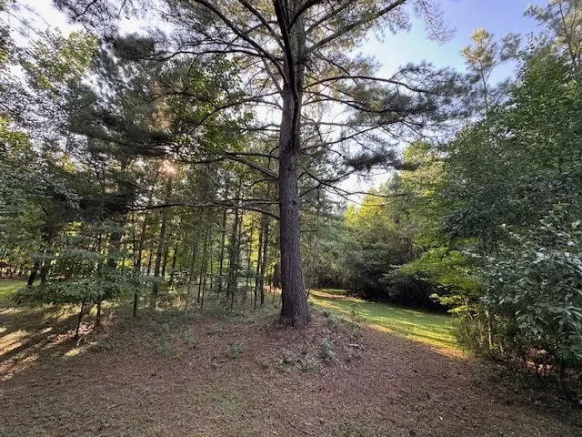 1.18 Newberry Drive, Mineral Bluff, GA 30559 - #2