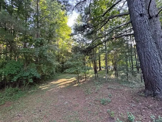 1.18 Newberry Drive, Mineral Bluff, GA 30559 - #3