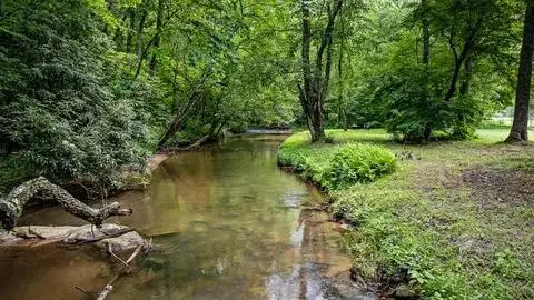 LT 1 Newberry Drive, Mineral Bluff, GA 30559 - Image #1