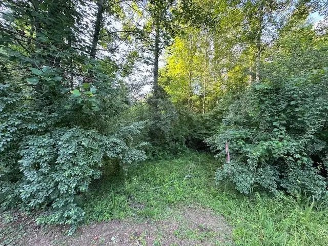 LT 1 Newberry Drive, Mineral Bluff, GA 30559 - Image #3